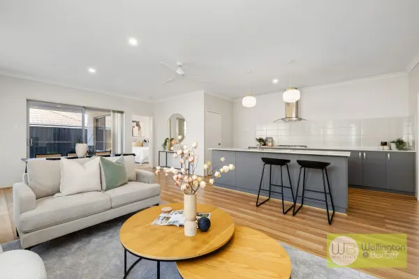 10 Apatite St (1/17)