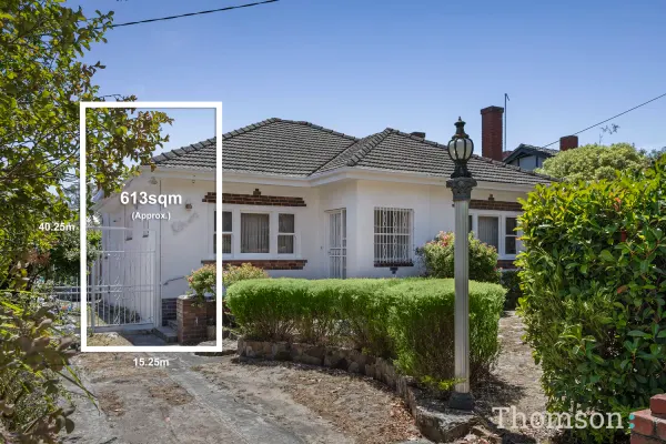 11 Dumblane Street (1/11)