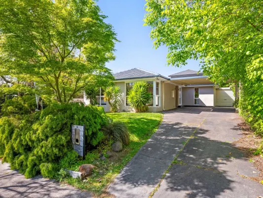 12 Davison Street (1/13)