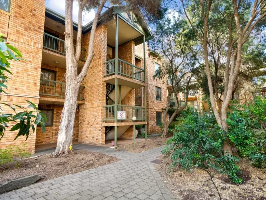 13/22 Cambridge Terrace (1/17)
