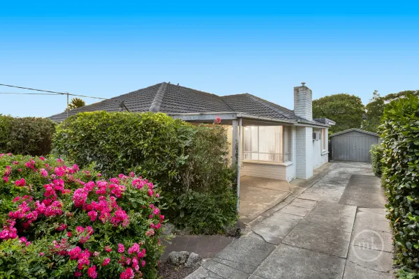 15 Warruga Place (1/11)
