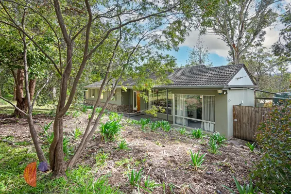 17 Boronia Avenue (1/26)