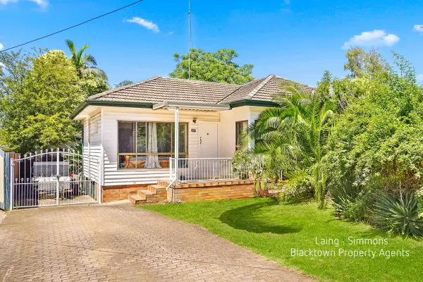 17 Shirley Street (1/20)