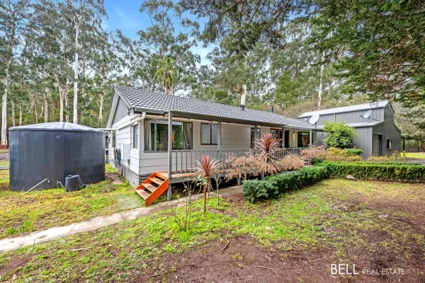 195 Gembrook-Launching Place Road (1/32)