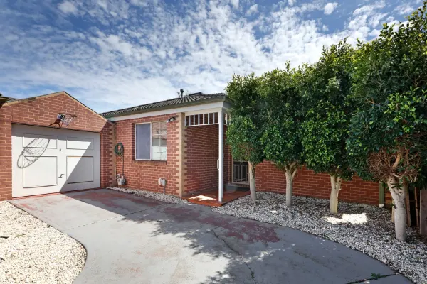 2/19 Haigh Street (1/11)