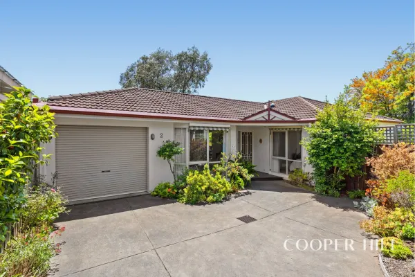 2/241 Burwood Highway (1/16)
