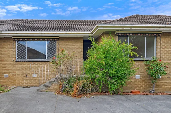 2/9 Kane Street (1/11)