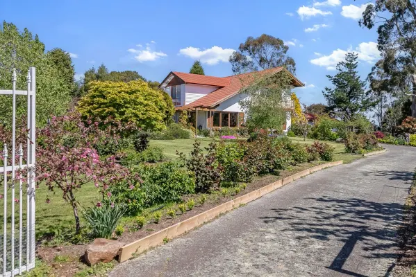 2 Pine Tree Avenue (1/31)