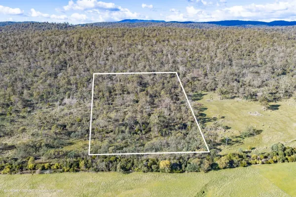 202 Lilydale Road (1/12)