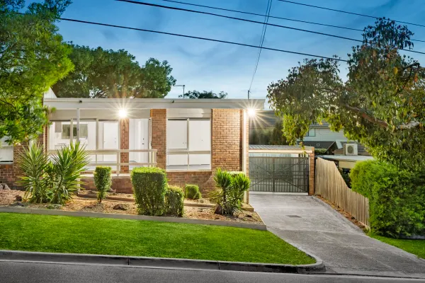 3/2 Harrison Street (1/14)
