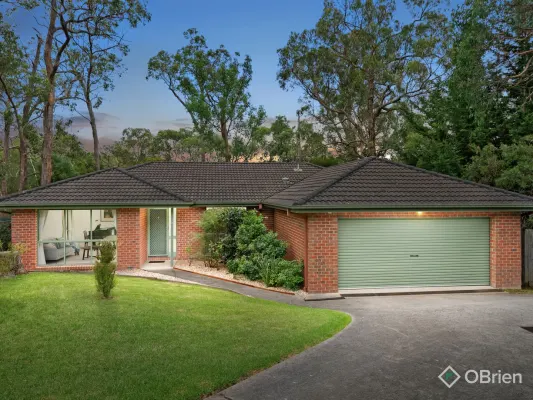 3/41 Stewart Street (1/19)