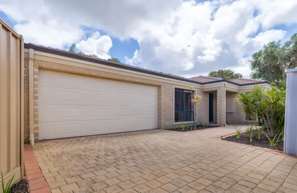 6 Fig Close (1/15)