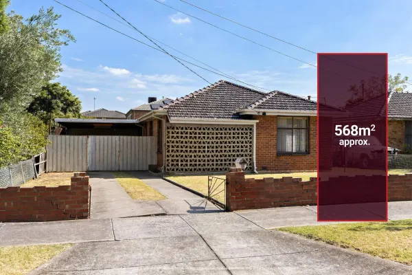 69 Jellicoe Street (1/12)