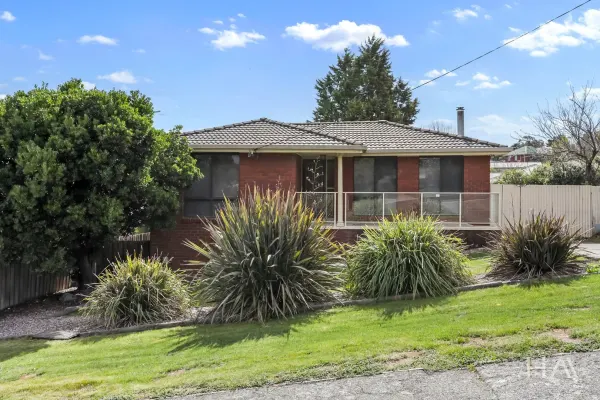 84 Brougham Street (1/15)