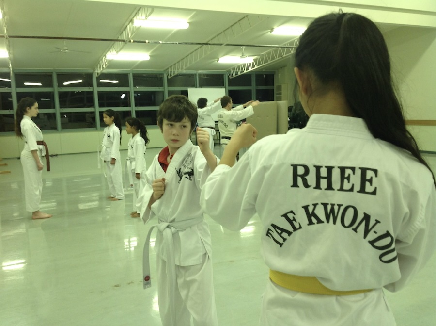 The family Martial Art - 1