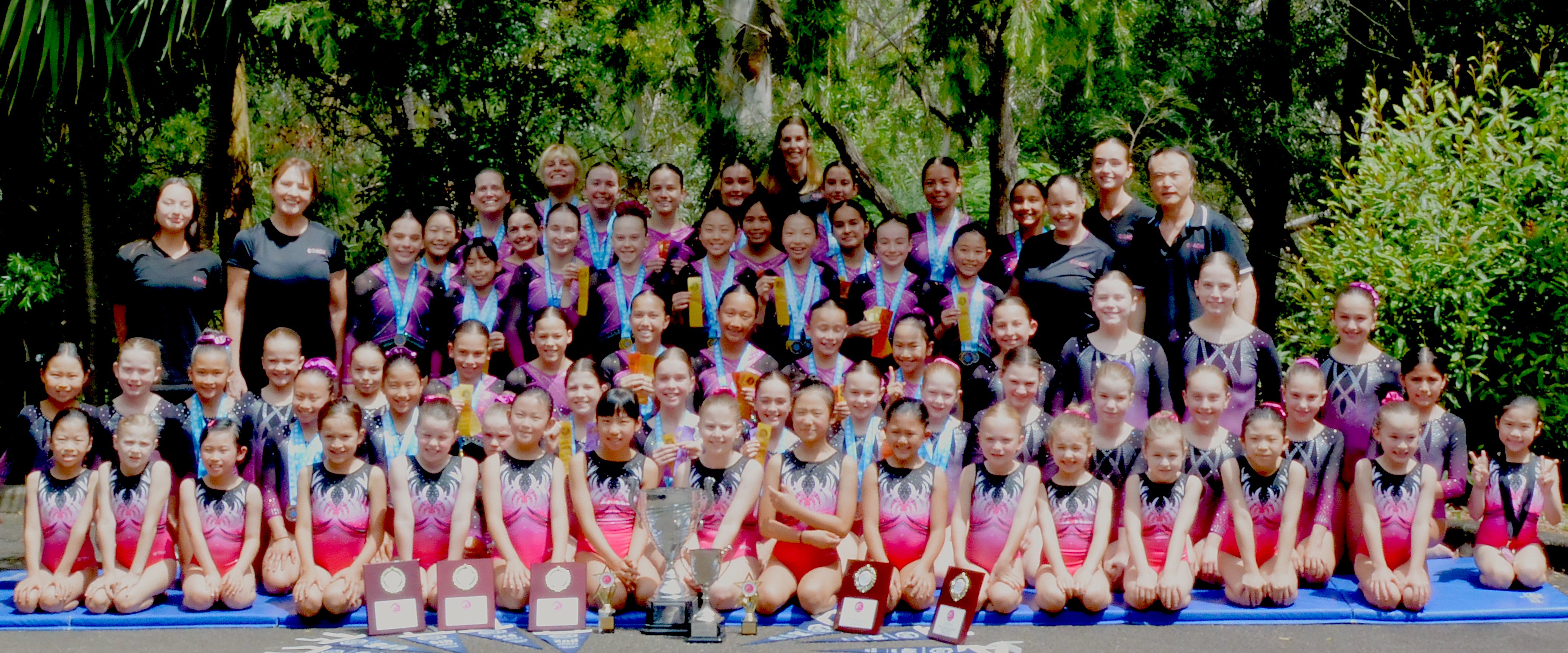Gymnastics - Infinity Gym Sports & Health - 1