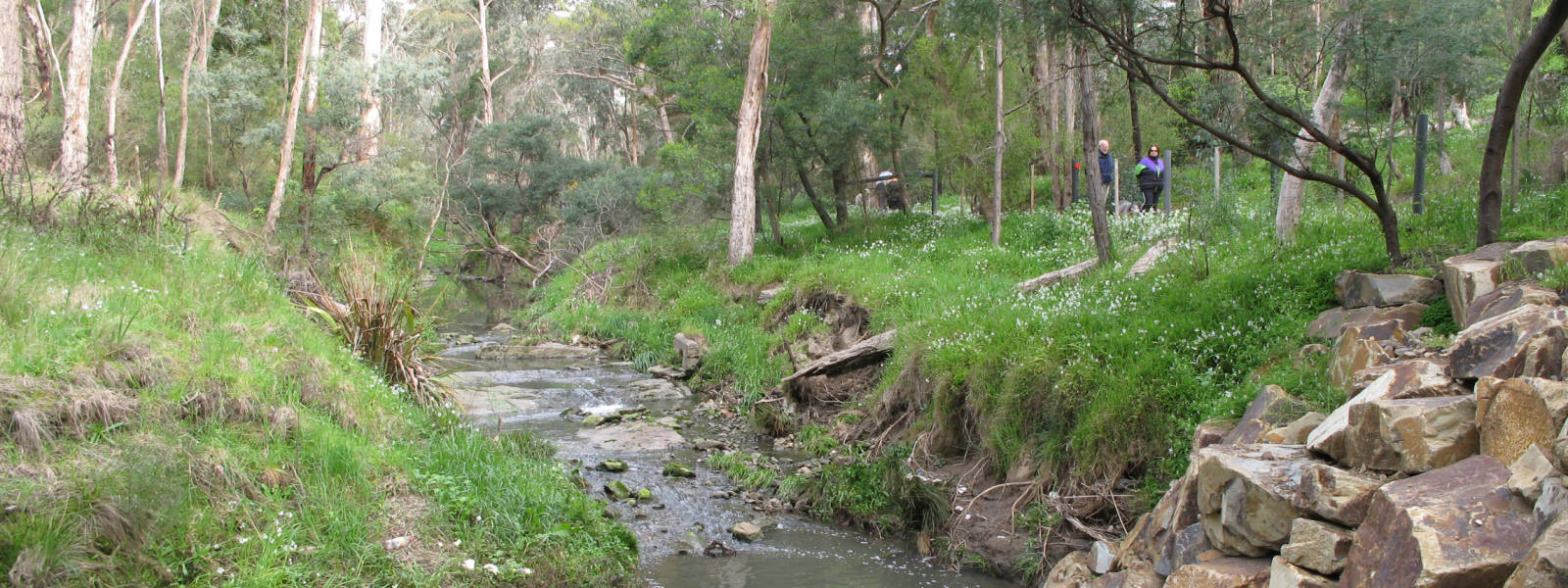 Yarran Dheran Reserve