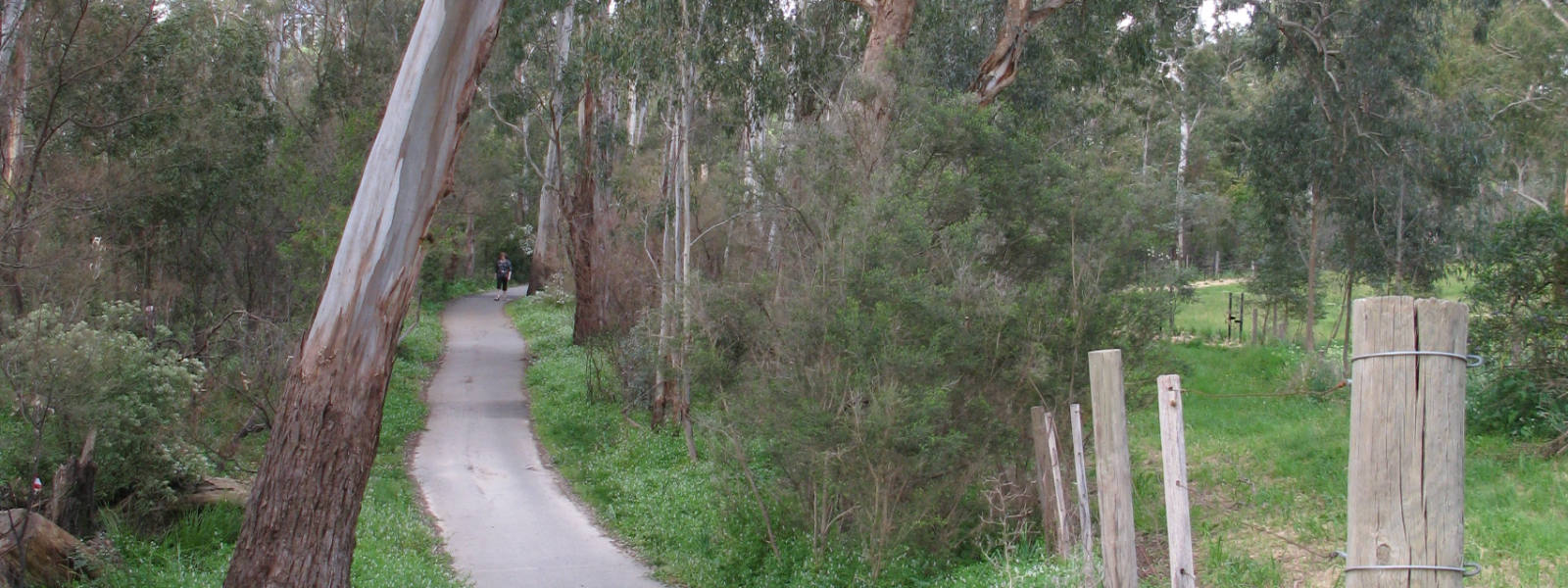 Mullum Mullum Creek Linear Park