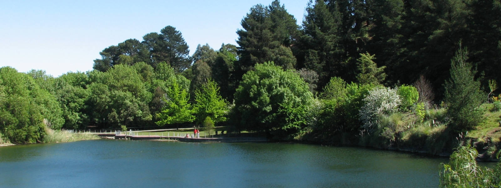Wilson Botanic Park