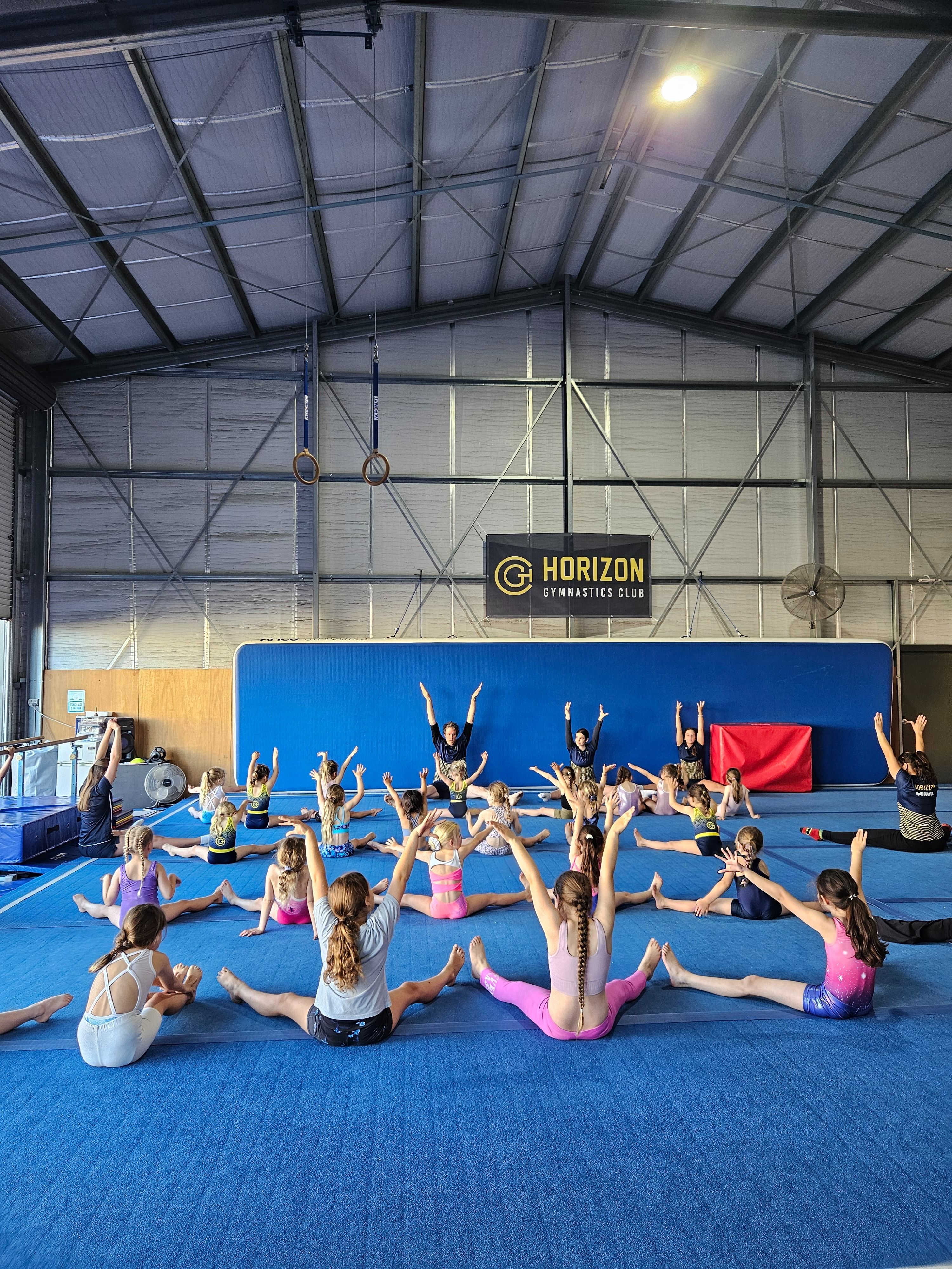 Horizon Gymnastics Club - 2