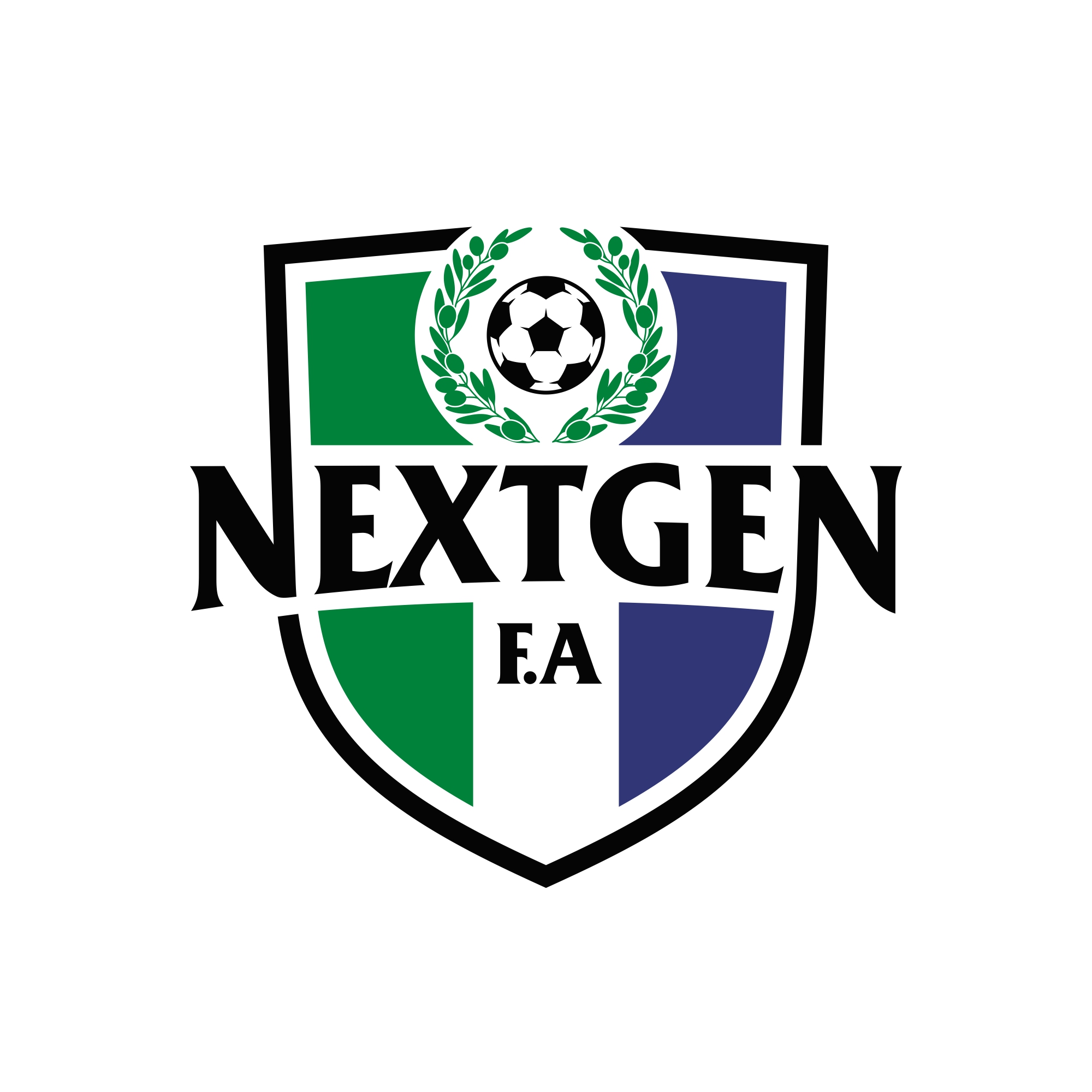 Nextgen Football Academy logo