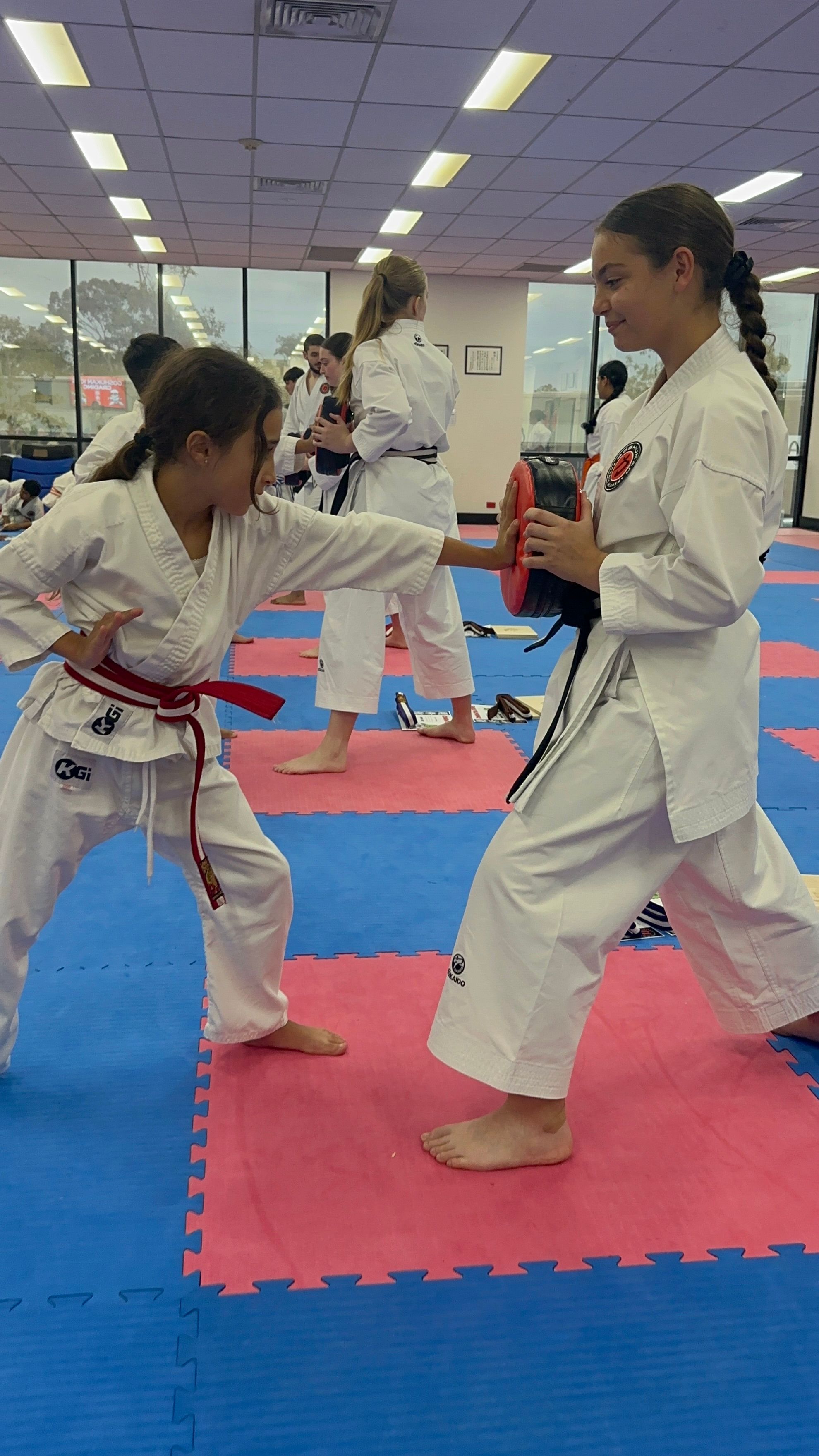 Goshukan Karate Academy SevenHills - 1