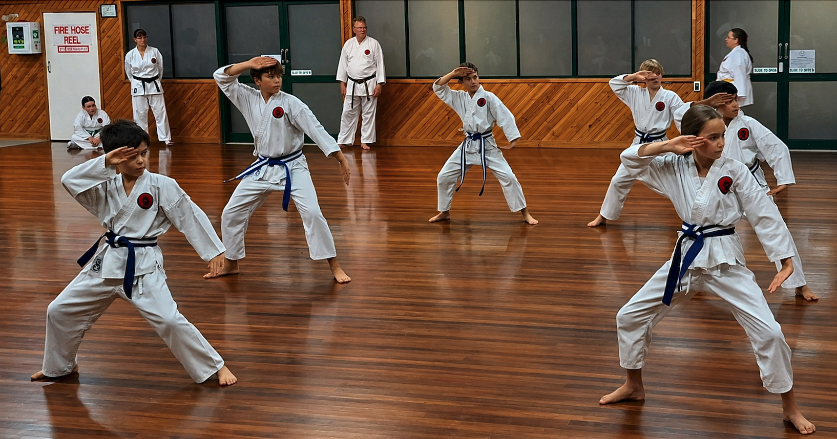 Okinawan Goju-ryu Karate Do - 2