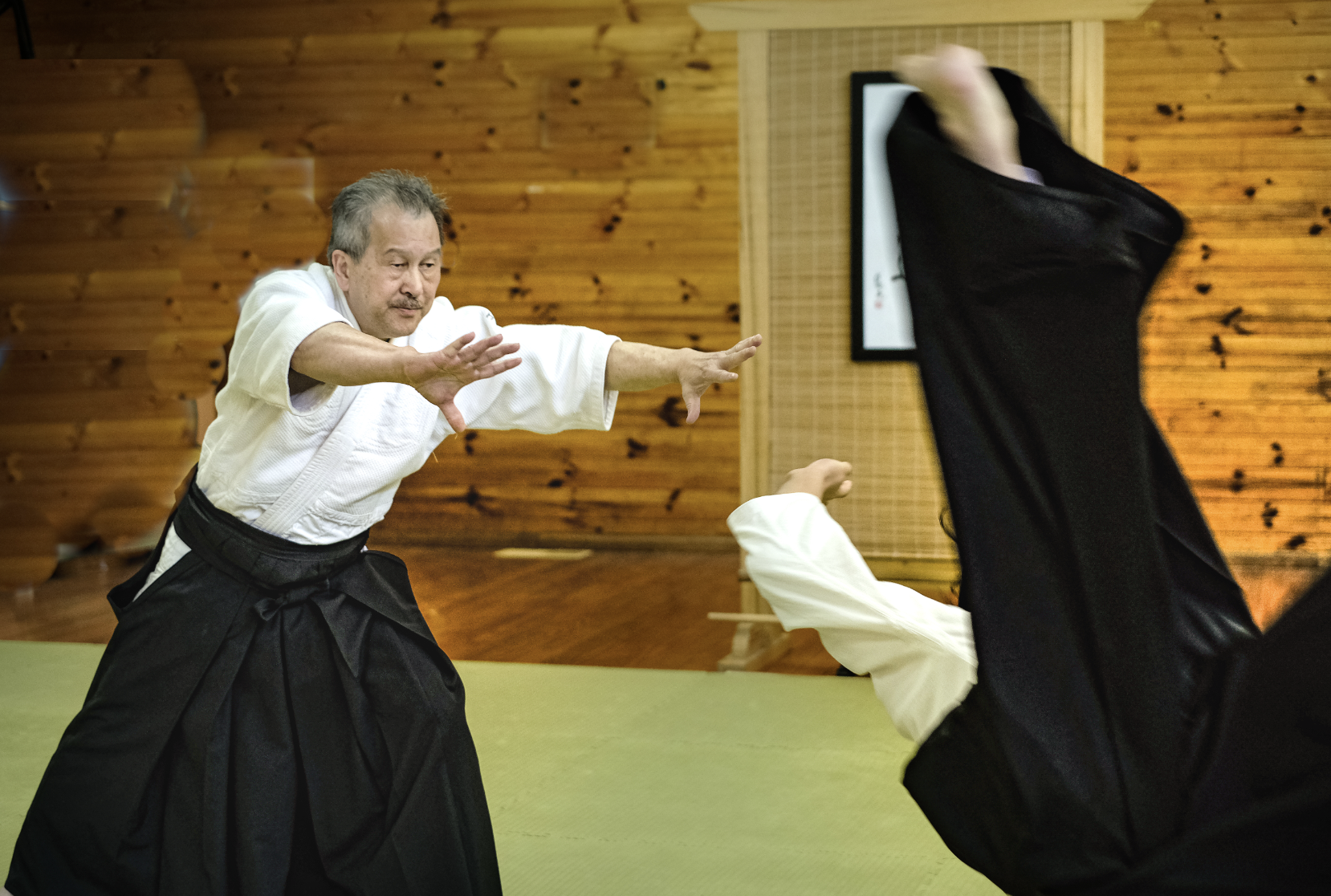 Aikido Dentoukan - 4