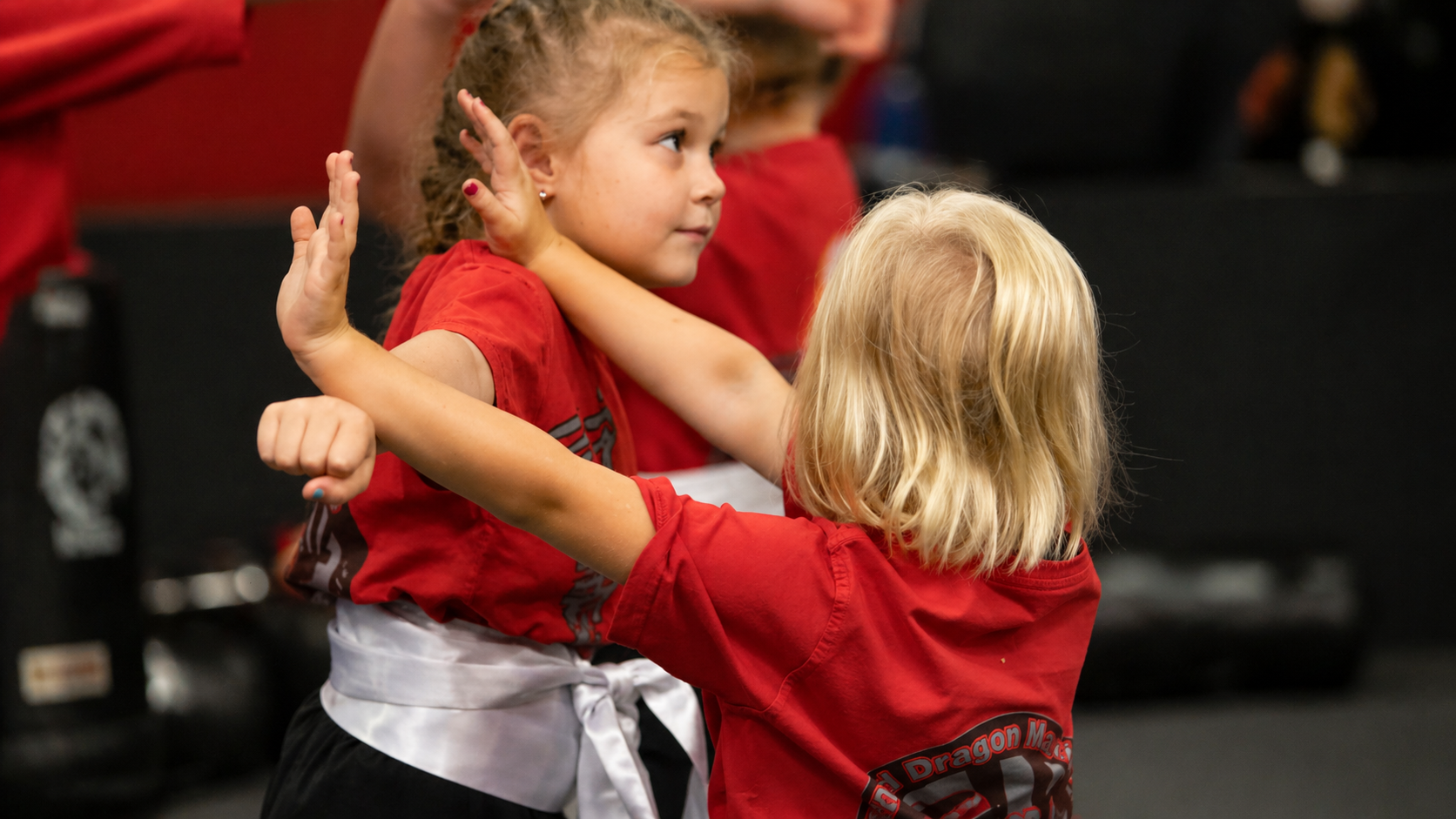 Red Dragon Martial Arts - 3