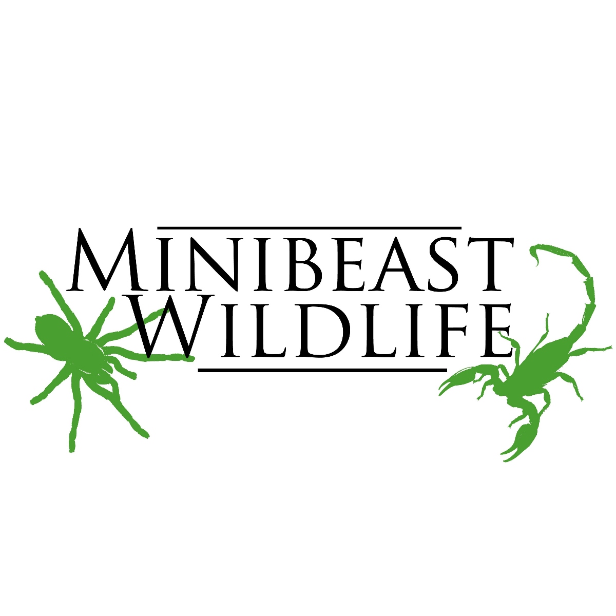 Minibeast Wildlife logo