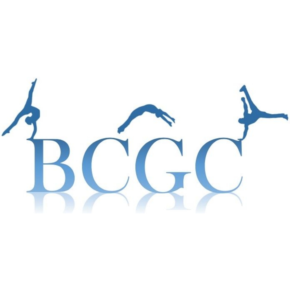 Brisbane City Gymnastics Club logo