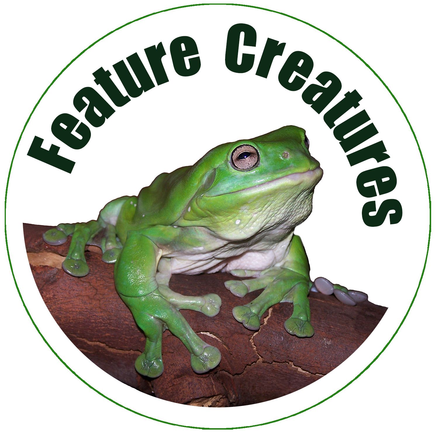 Feature Creatures