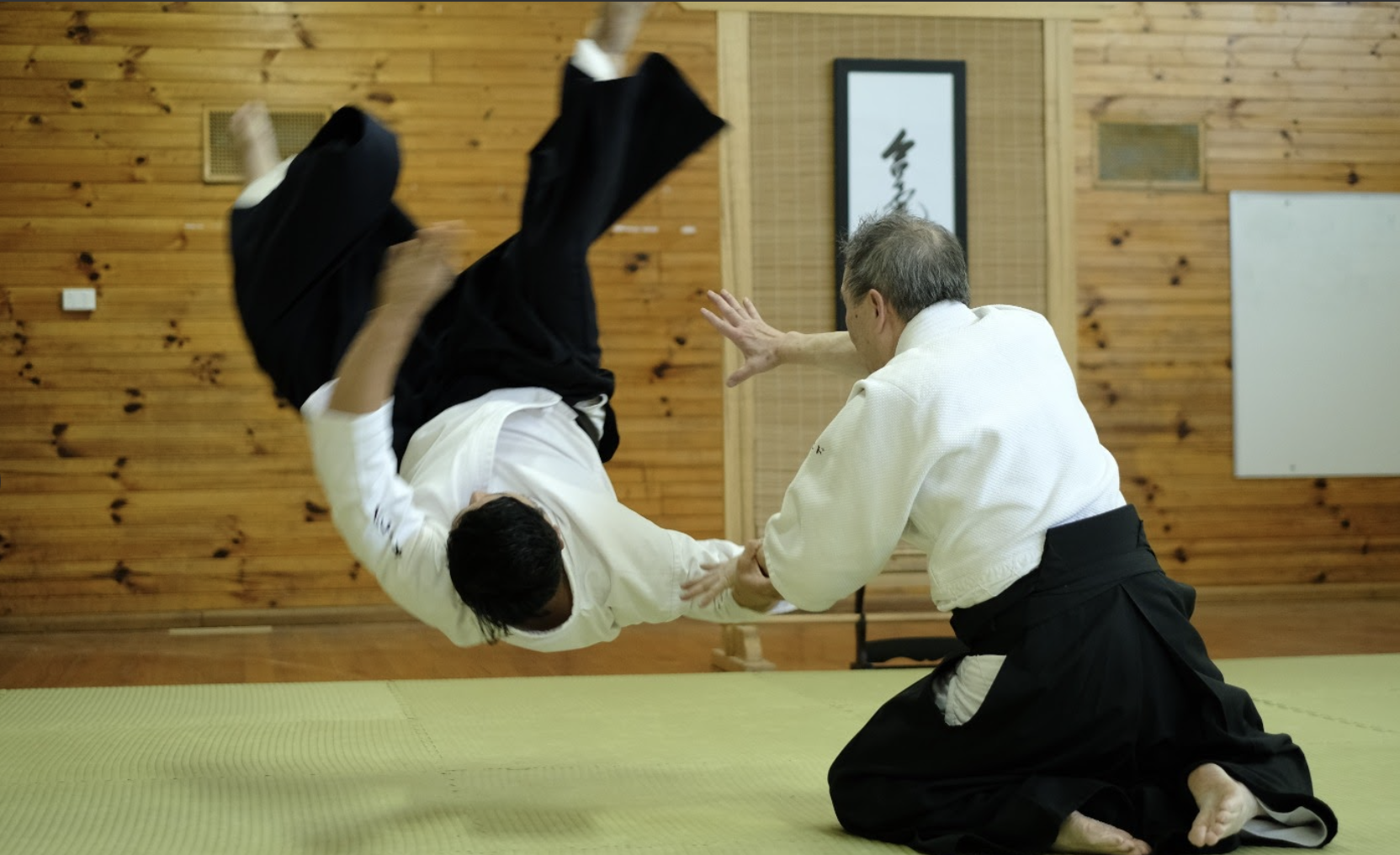 Aikido Dentoukan - 1