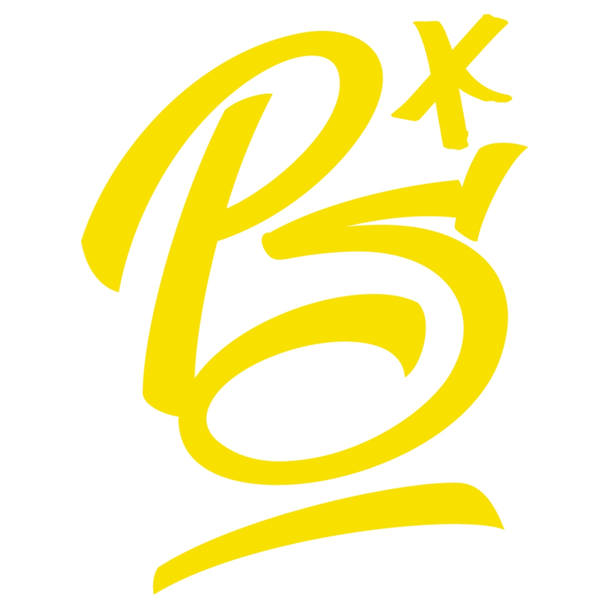 Passion Studio logo