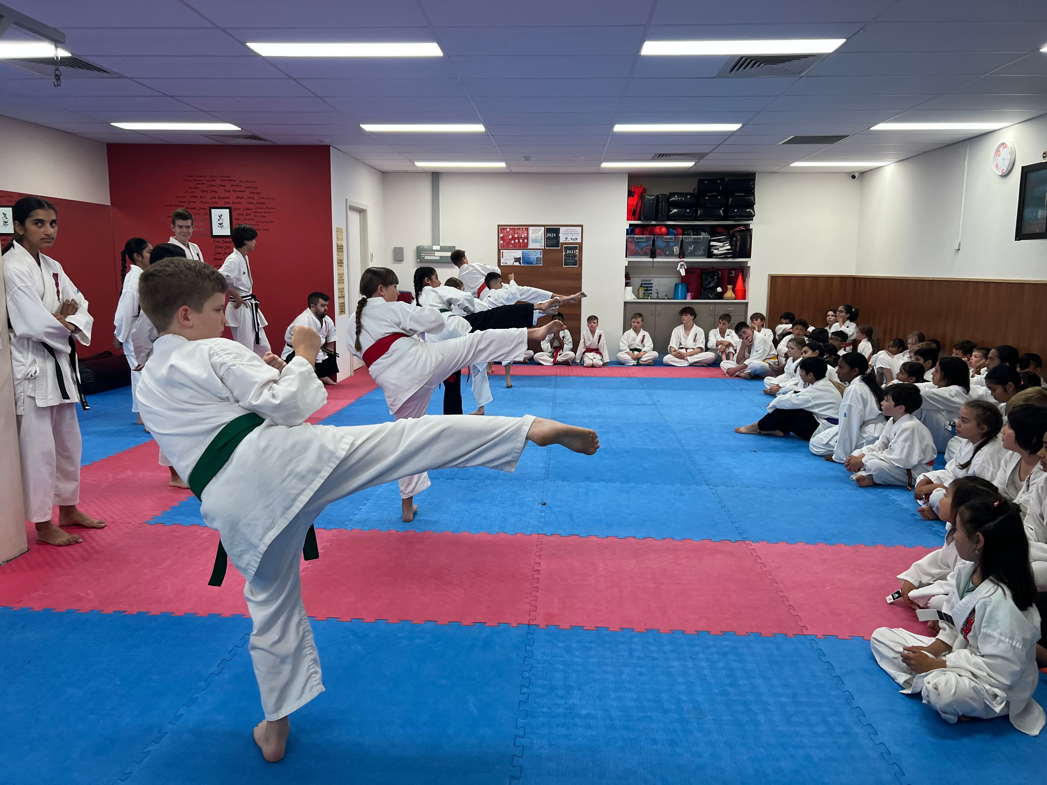 Northern Goju Karate - 4
