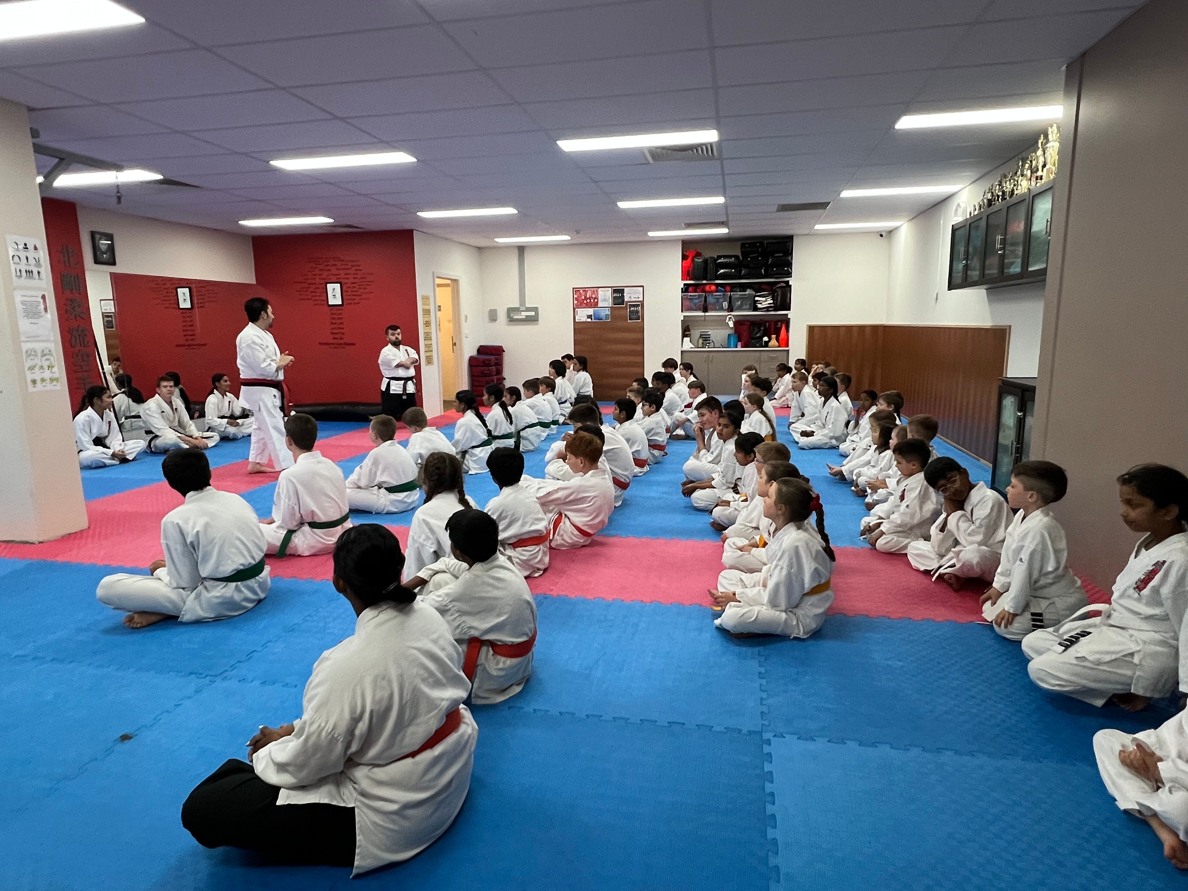 Northern Goju Karate - 5