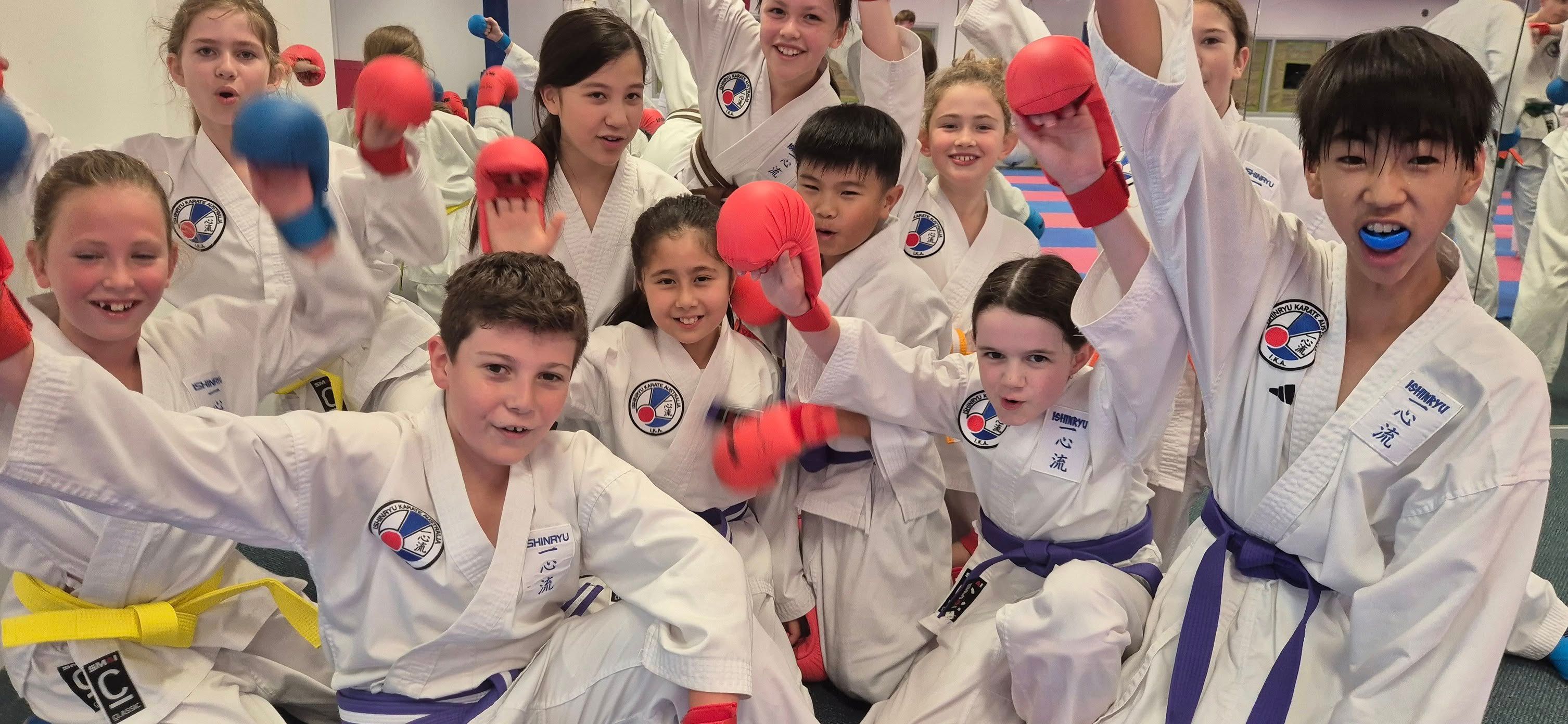 Ishinryu Karate Australia - Menai - 1