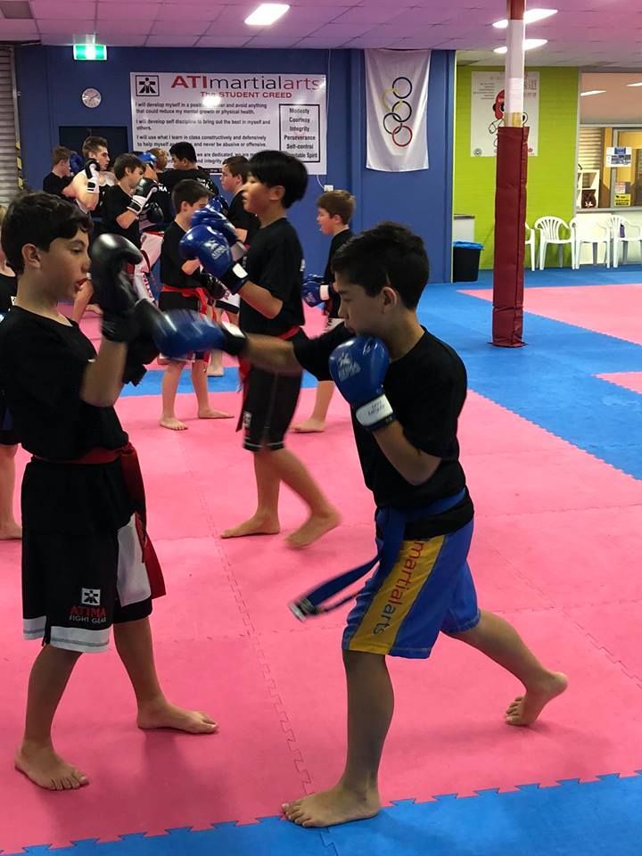 ATI Martial Arts Pty Ltd - 3