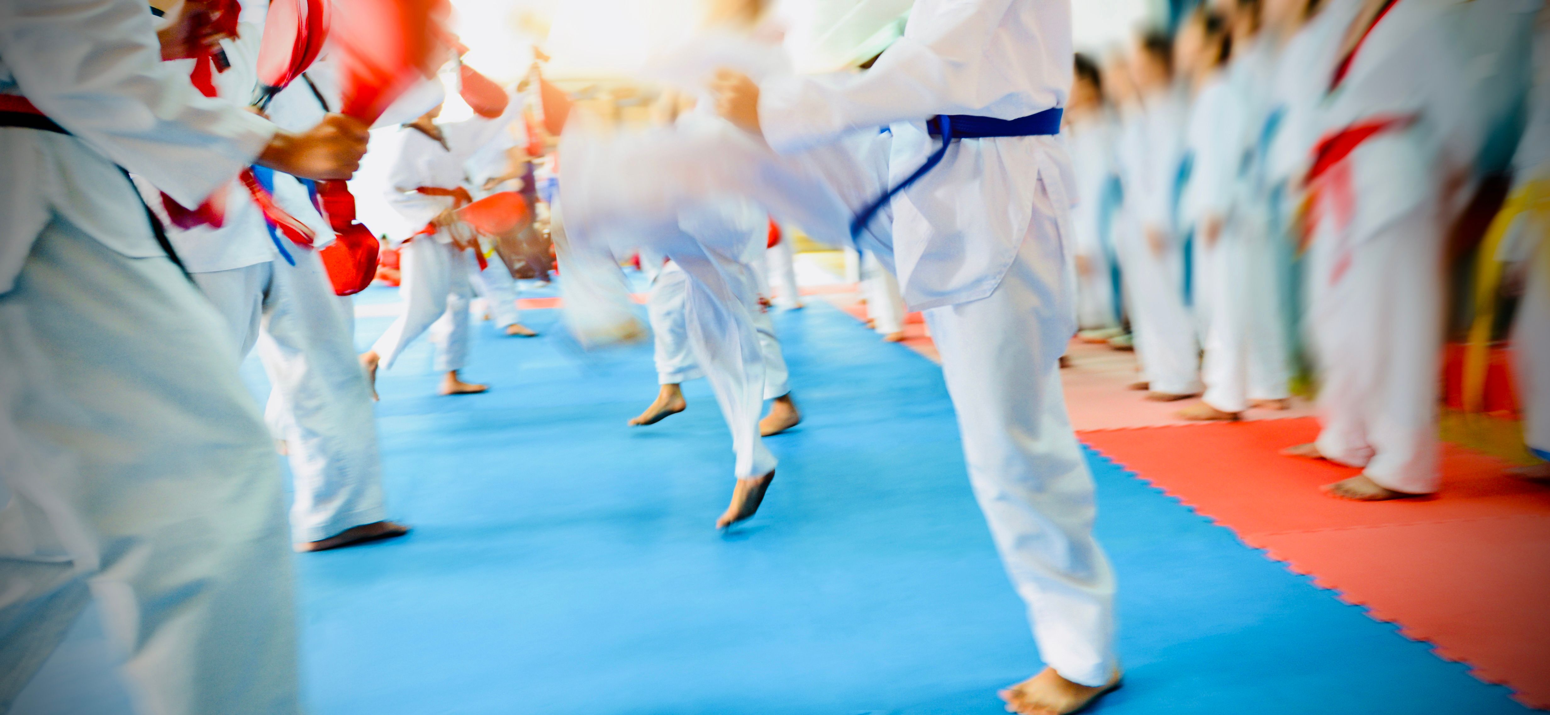 Wolves Martial Arts - 1