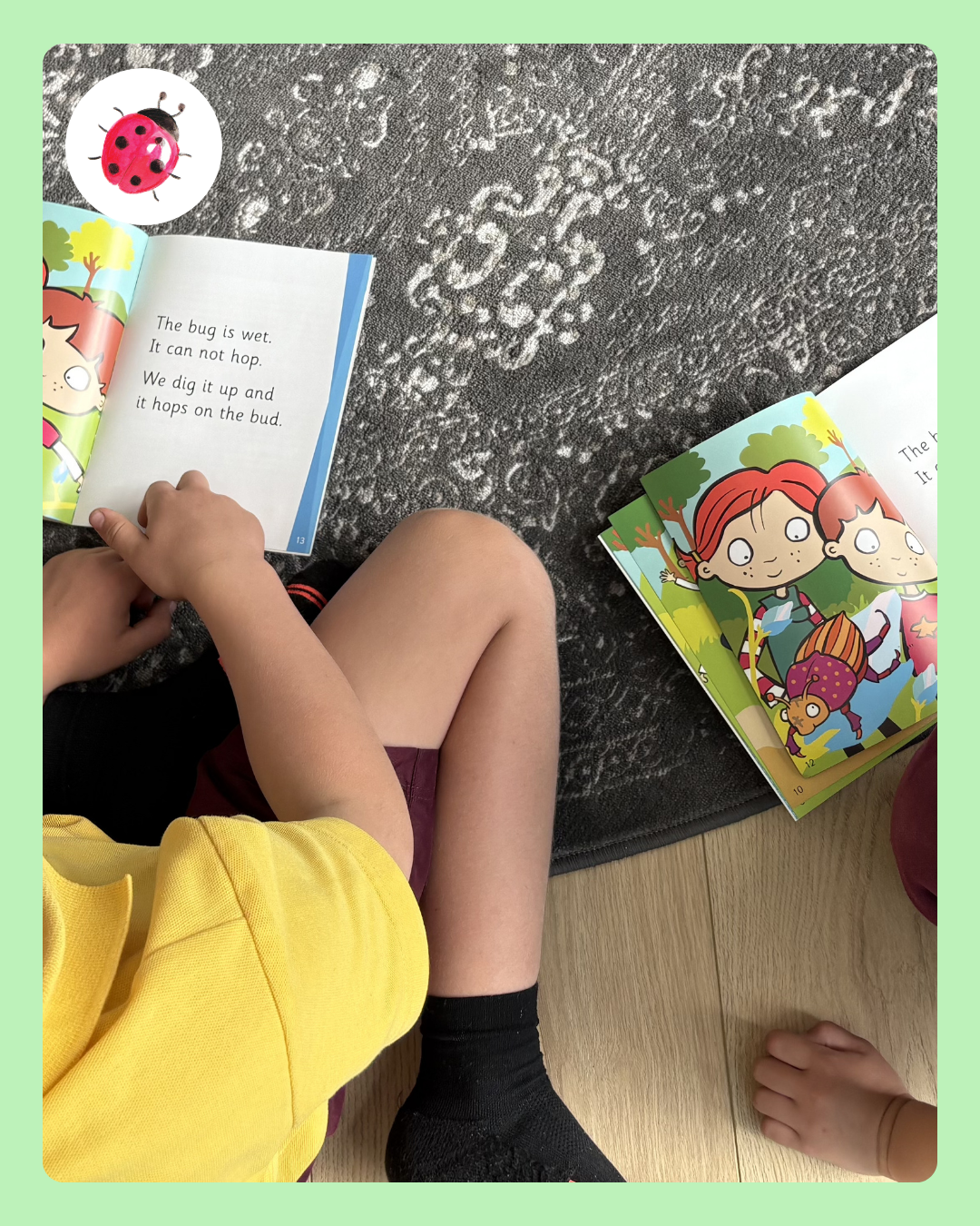 Ladybug Learning - 3