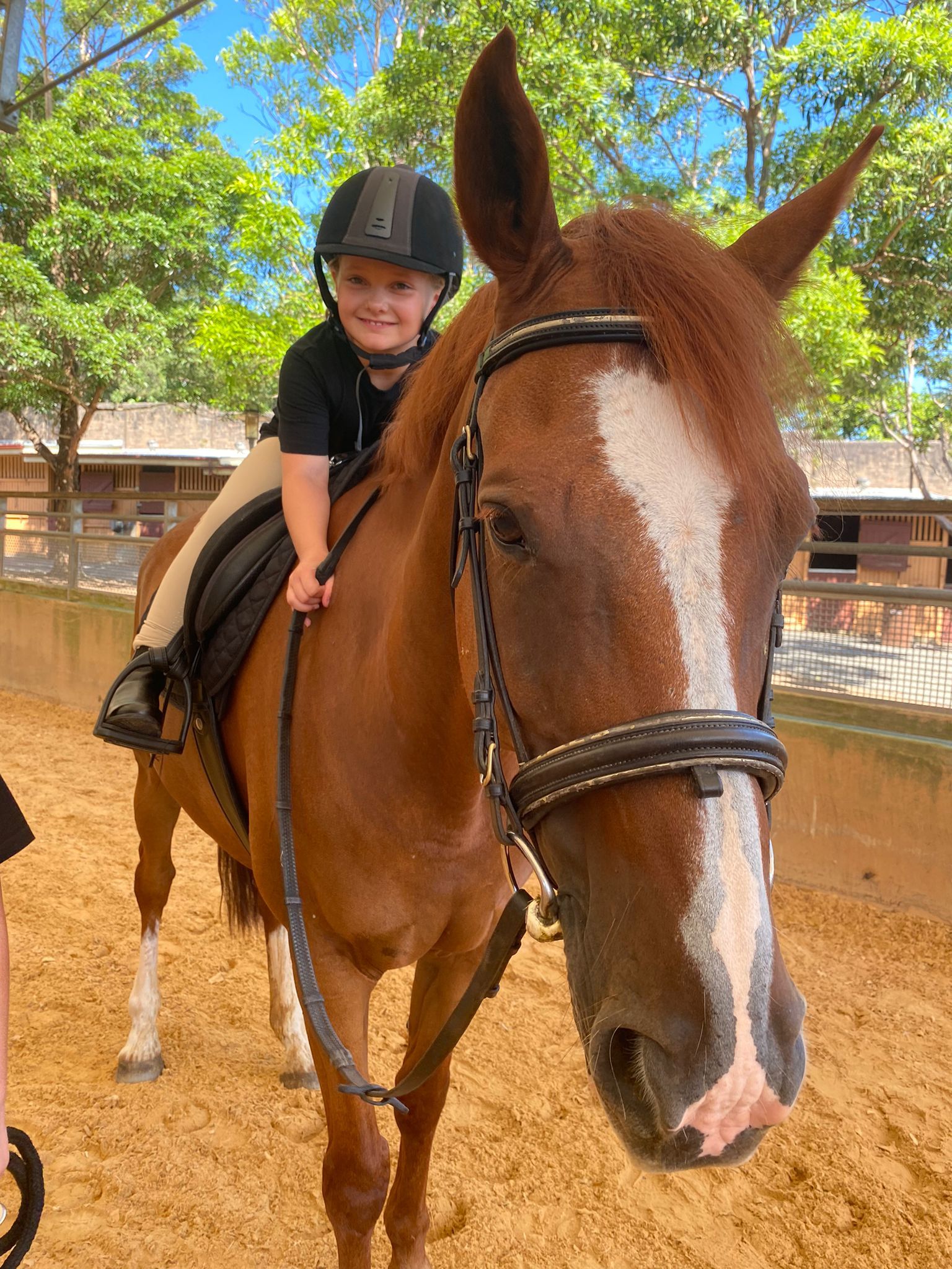 Centennial Equestrian - 4