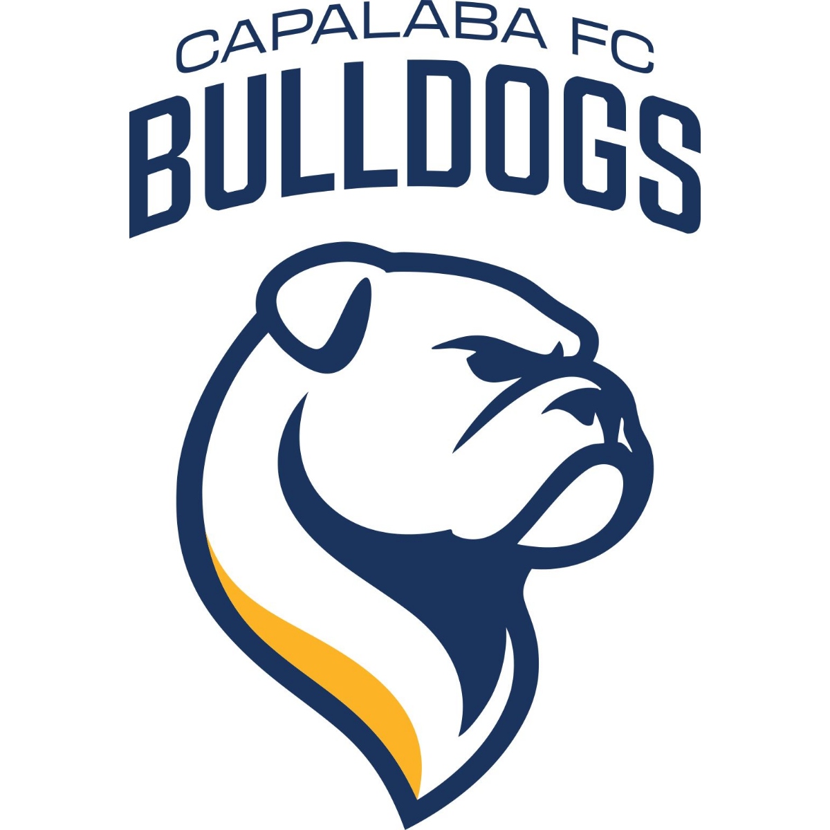 Capalaba Football Club Inc logo