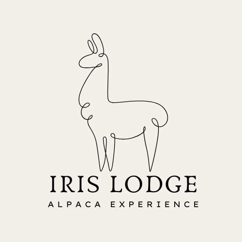 Iris Lodge Alpacas logo