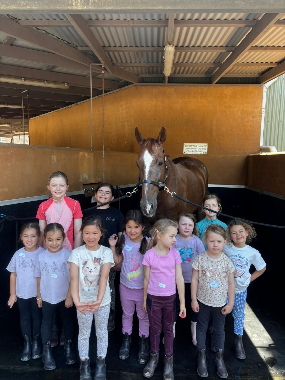 Centennial Equestrian - 3