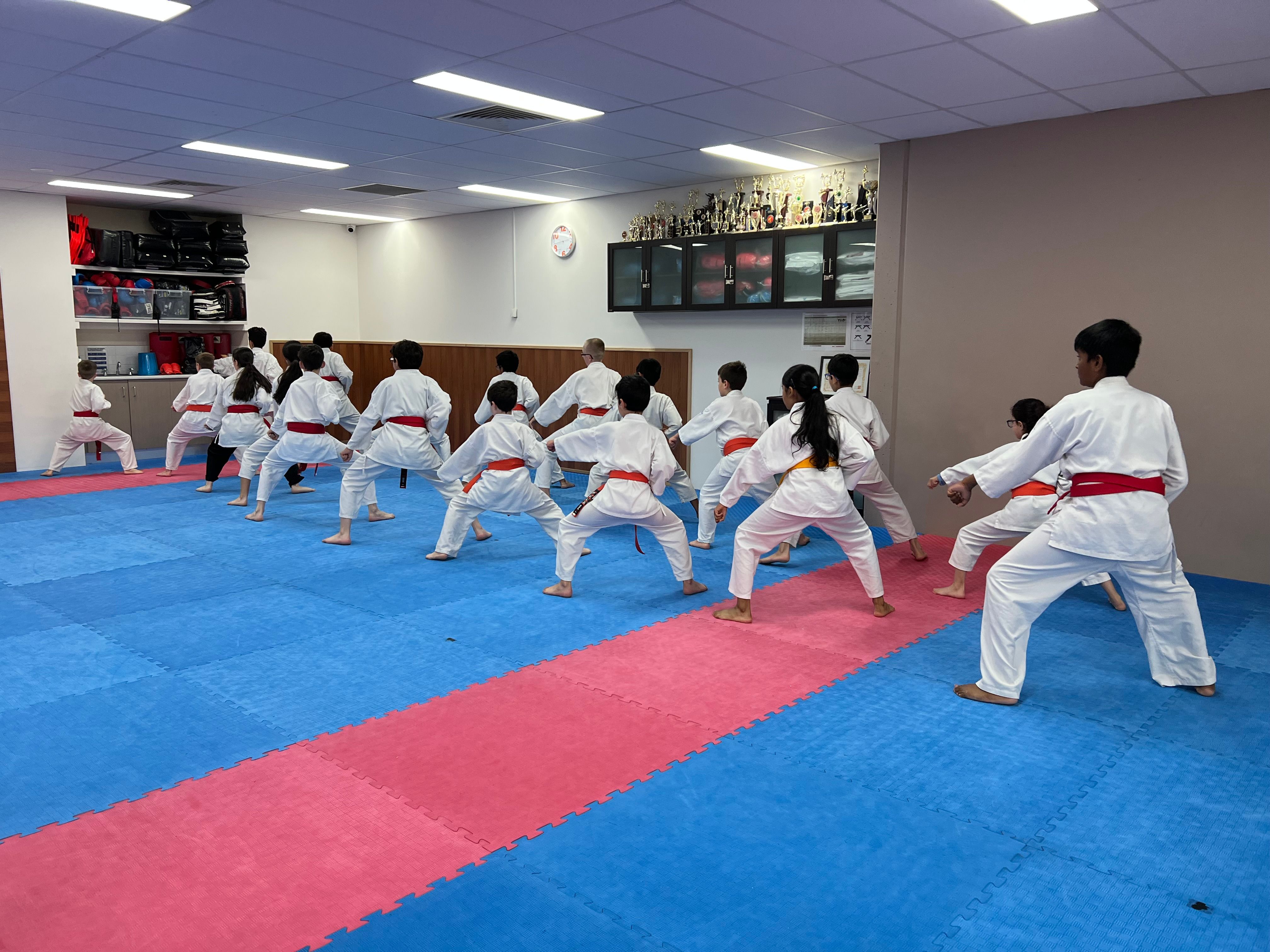 Northern Goju Karate - 6