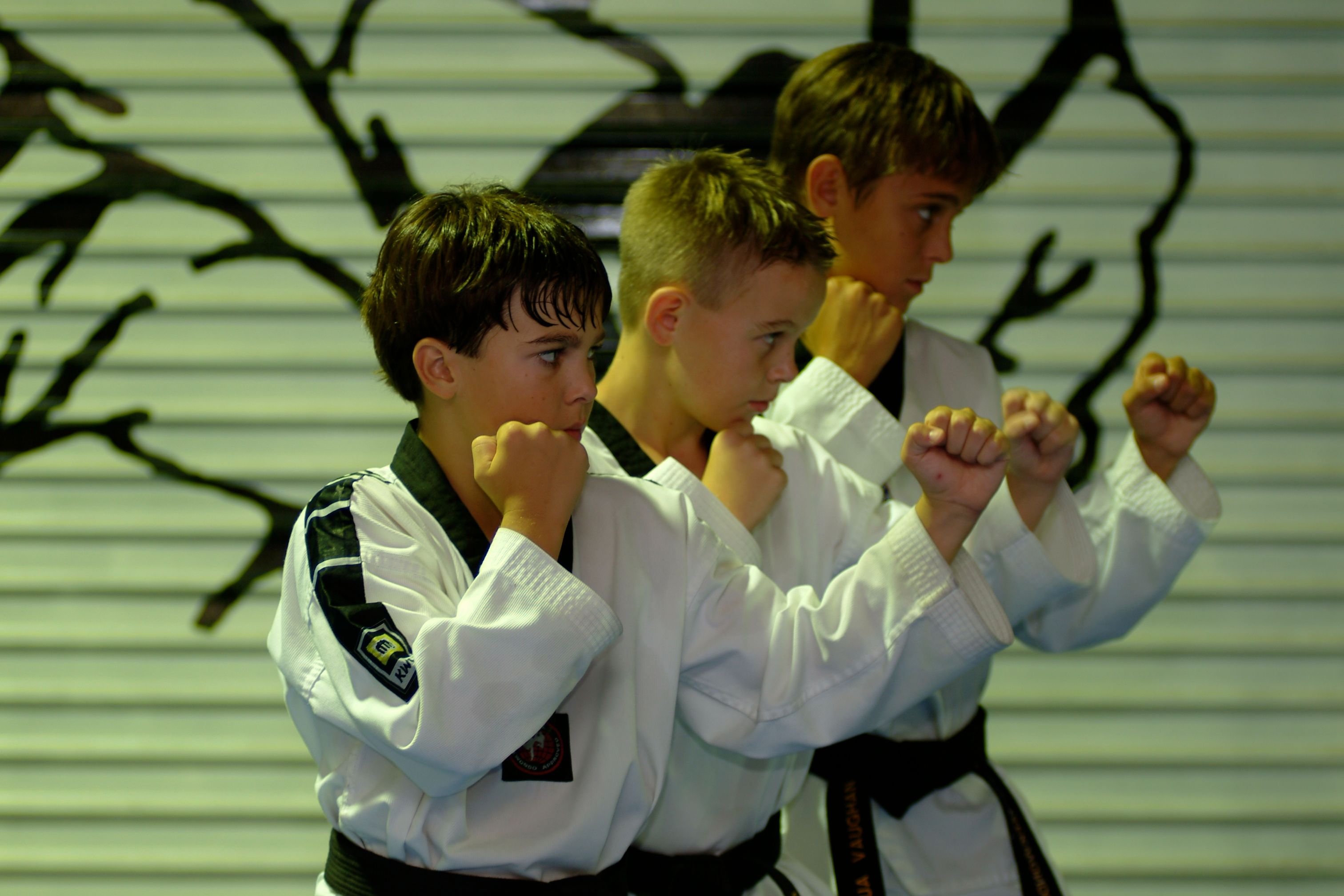 ATI Martial Arts Pty Ltd - 2