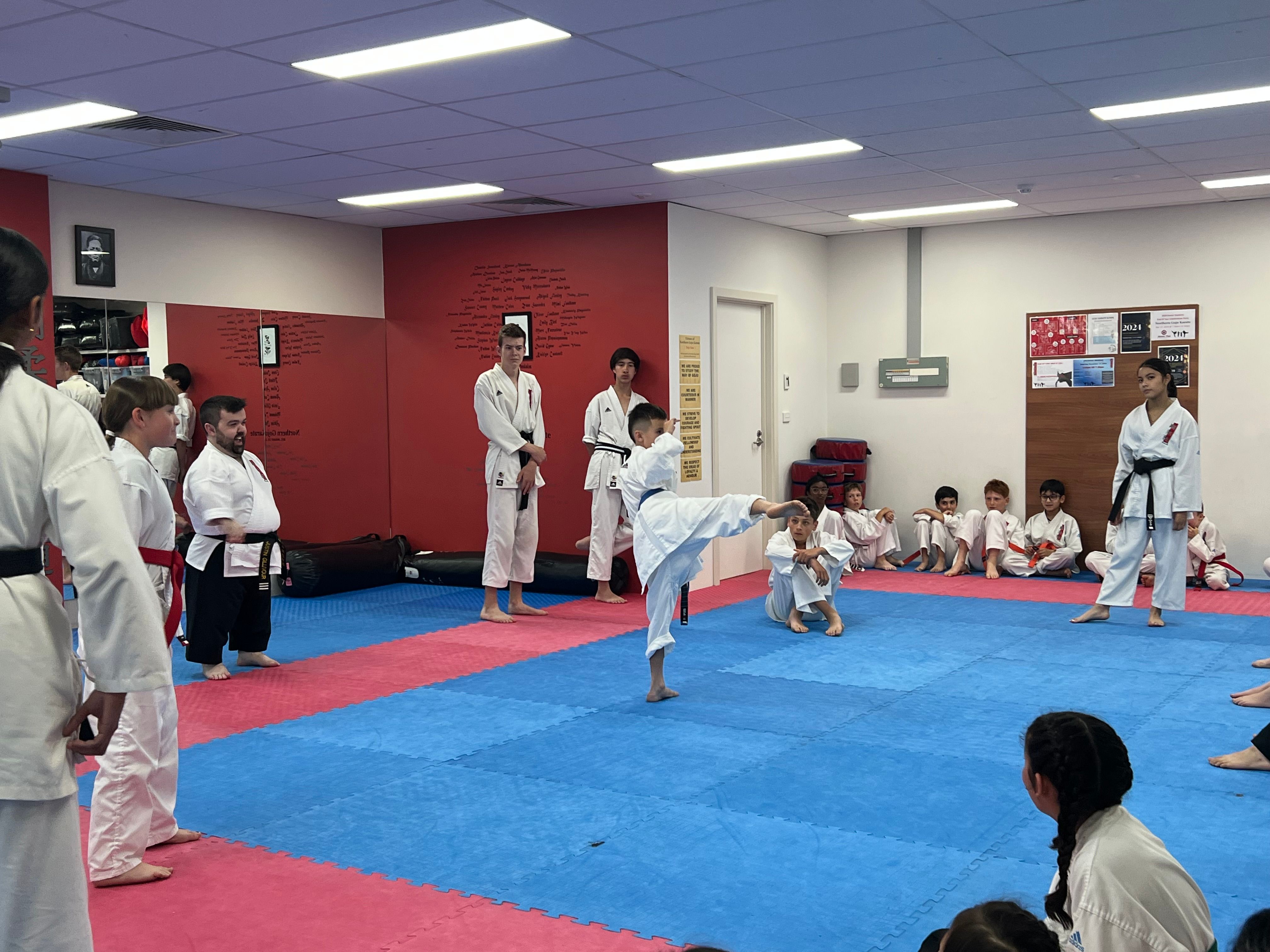 Northern Goju Karate - 3
