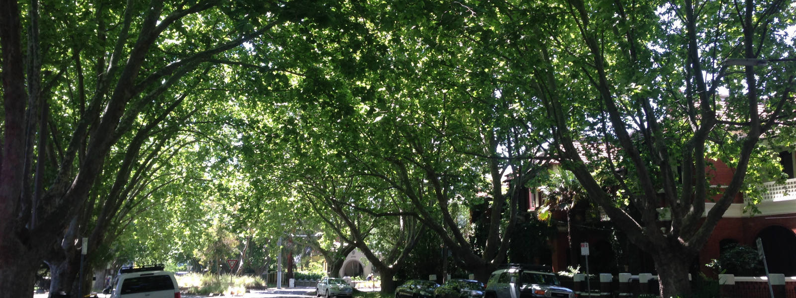 St Kilda West