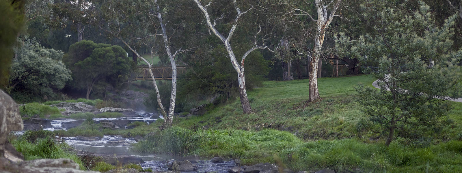 Coburg North