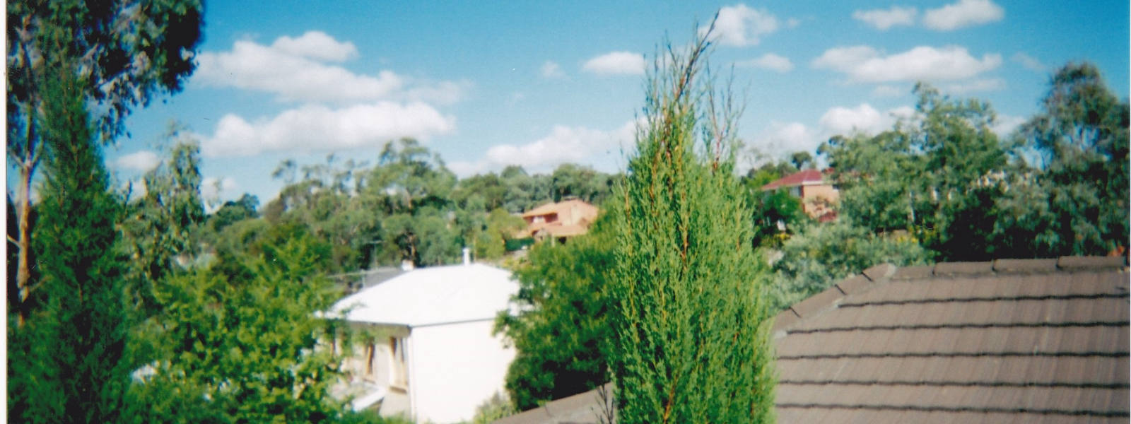 Warranwood